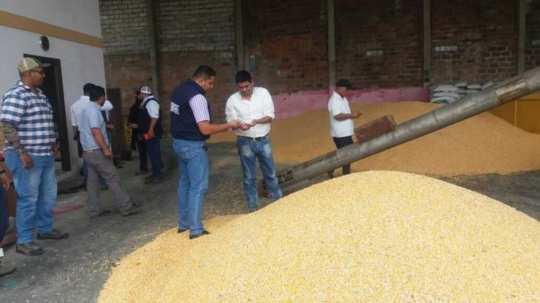 Maiceros anuncian cierre de vías: 600.000 toneladas siguen sin venderse en Ecuador