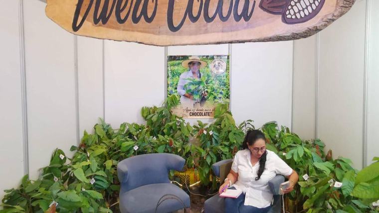 Sector cacaotero atribuye caída de exportaciones al clima; el fenómeno de El Niño 'recupera' precios y amenaza a pequeños productores