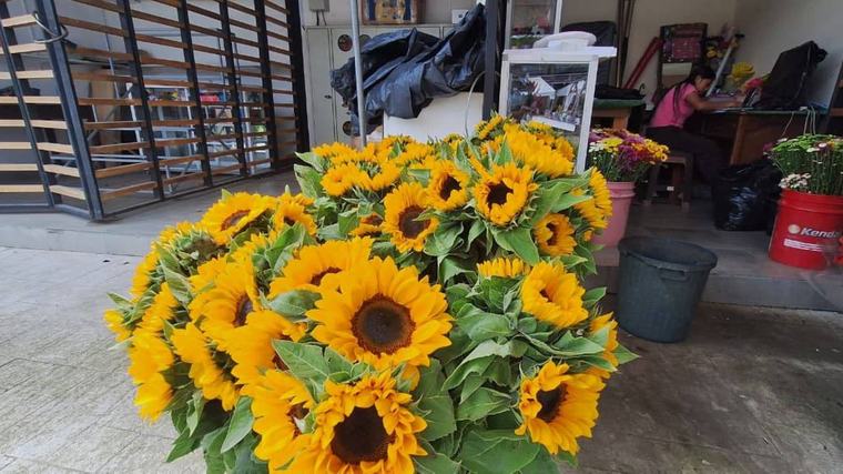 La Plaza de las Flores de Santo Domingo se resiste a morir e intenta volver a atraer clientes