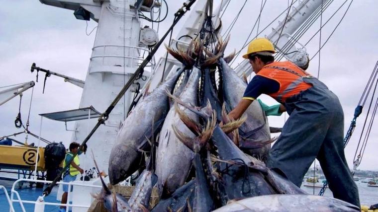 Ecuador impulsa nuevas reglas para el atún, pero no hay consenso