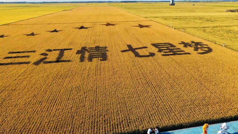 Baterías de propulsión estrechan la cooperación entre China y España en la cadena industrial de nuevas energías