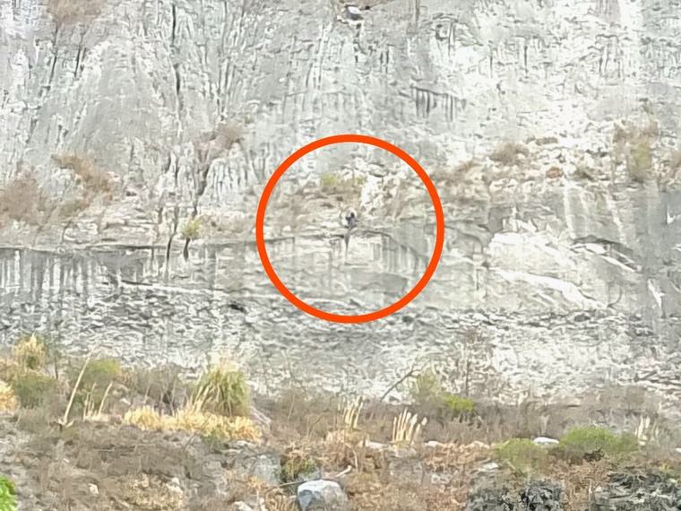Joven de 19 años cae 50 metros en una zona montañosa y es rescatado por los bomberos