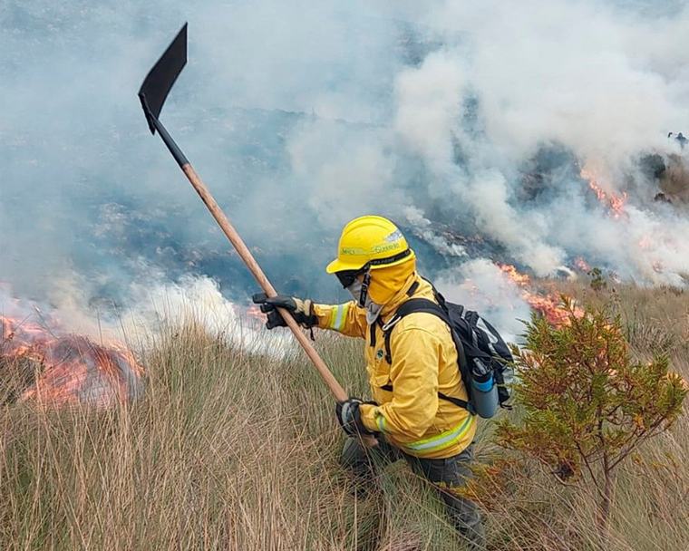 Incendios forestales: por qué El Niño crea el escenario perfecto para que una simple quema se salga de control