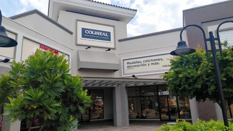 Colineal invierte $ 215.000 y abre su segunda tienda en Panamá